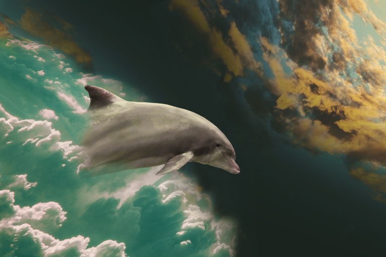 quelle est la consommation electrique d039un flipper decouvrez son cout sur une annee