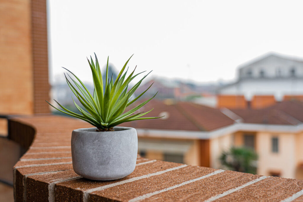 Comment créer un mini jardin d'intérieur pour embellir votre espace ?
