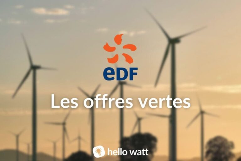 Quels avantages offre EDF en matière d'électricité et de gaz ?