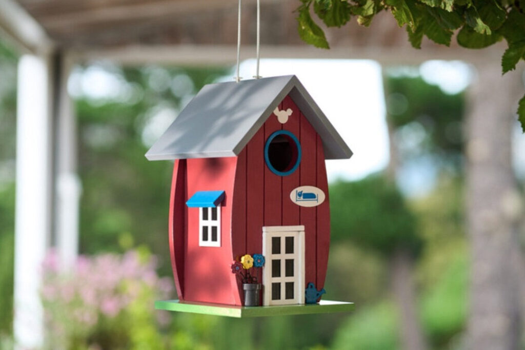 Comment installer et entretenir votre nichoir à oiseaux acheté chez Lidl ?