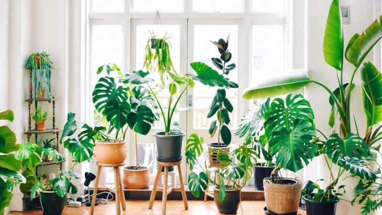 Décoration intérieure : comment sublimer votre espace avec des pots de fleurs ?