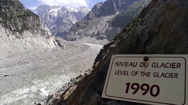 Comment le calendrier de l'avent bière Lidl va égayer vos fêtes de fin d'année ?