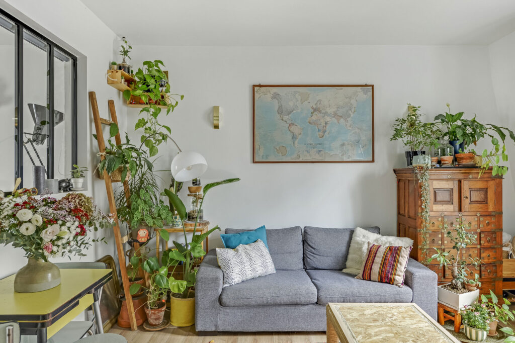 Comment intégrer une plante colorée dans votre décoration intérieure ?