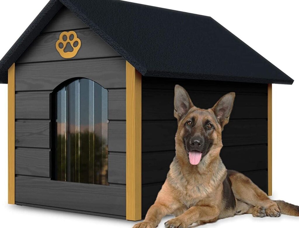 Comment choisir la meilleure niche pour chiens XXL pour votre fidèle compagnon ?
